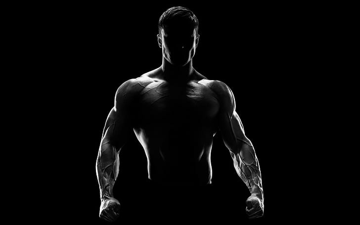 men, silhouette, muscles, HD wallpaper