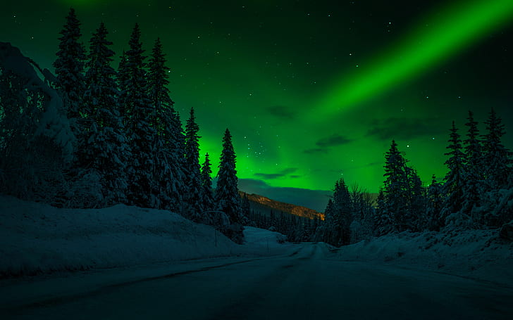 Norway Night Winter Snow Road Trees Trees Stars Stars Sky Polar Lights Night Landscape Photography Desktop Wallpaper Hd For Mobile Phones And Laptops, HD wallpaper