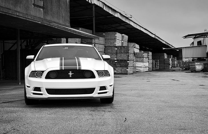  Fondo de pantalla HD Ford Mustang coupé blanco y negro, el frente, foto en blanco y negro