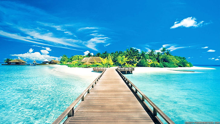 brown wooden dock, beach, water, pier, tropical, sky, sea, clouds