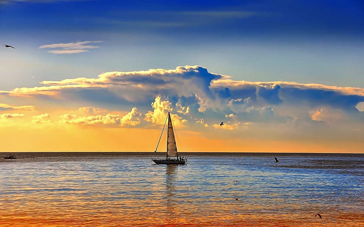 Sailing, view, lovely, beautiful, sailboats, sunset, peaceful, HD wallpaper