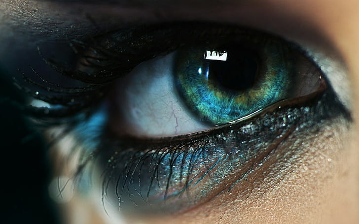 human blue eye, closeup photography of person's eye, macro, eyes, HD wallpaper