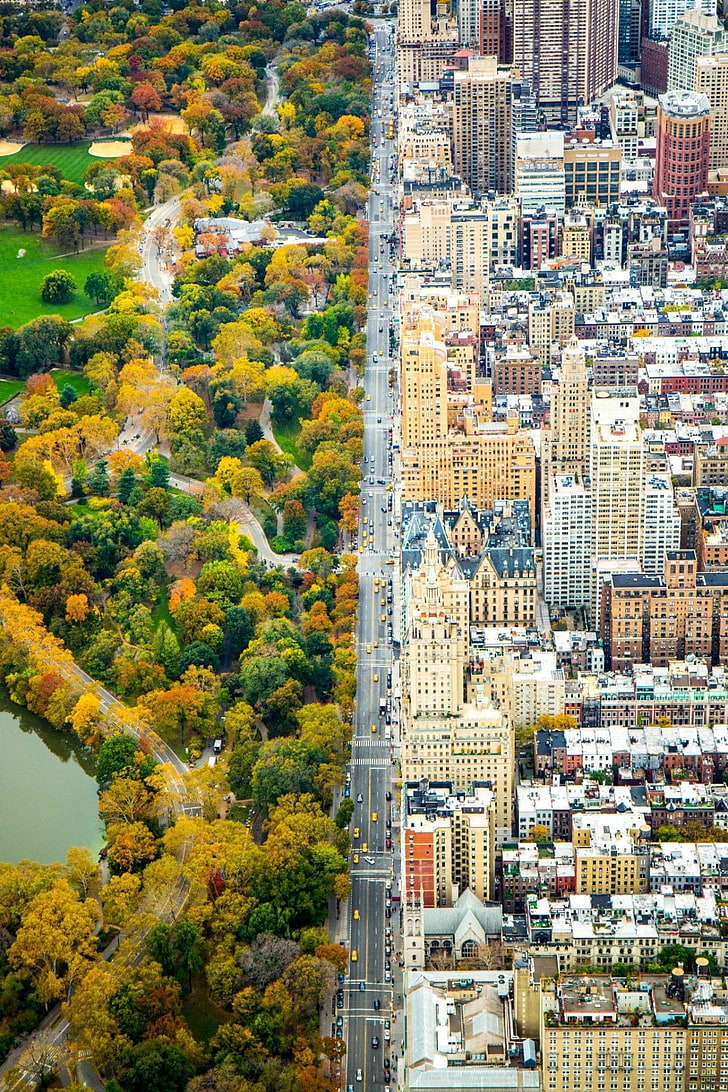 city skyline collage, architecture, building, New York City, USA