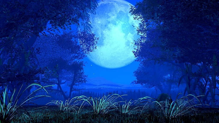 nature, moon, full moon, tree, landscape, night sky, night time, HD wallpaper