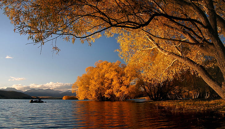 brown leaves trees near river, lake tekapo, lake tekapo, Autumn
