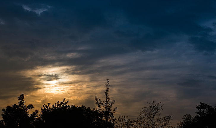 sunset, sky, cloud - sky, tree, beauty in nature, silhouette, HD wallpaper