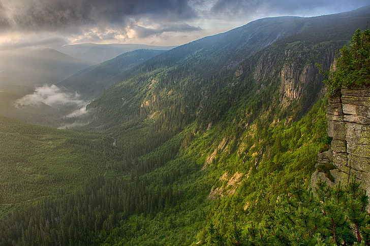 green mountain, forest, mountains, fog, river, morning, valley