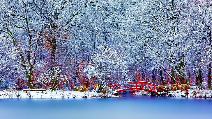 water, frozen, red bridge, river, daytime, lake, frost, forest, HD wallpaper