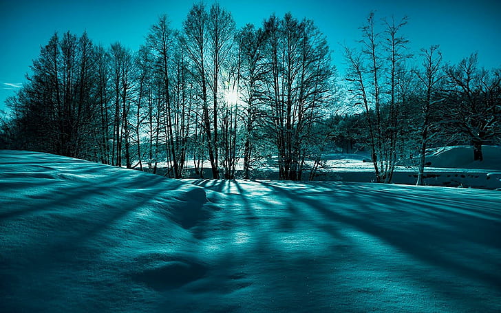 Landscape Snow Trees Winter Nature Beauty Photos, landscapes, HD wallpaper