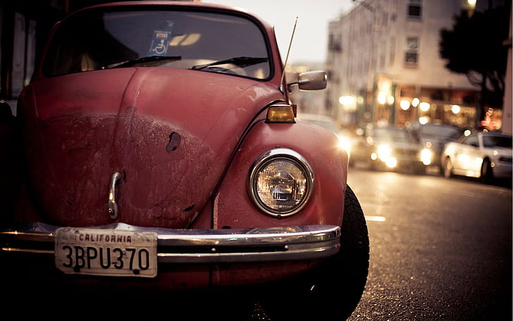 Volkswagen Beetle, car, old car, urban, HD wallpaper