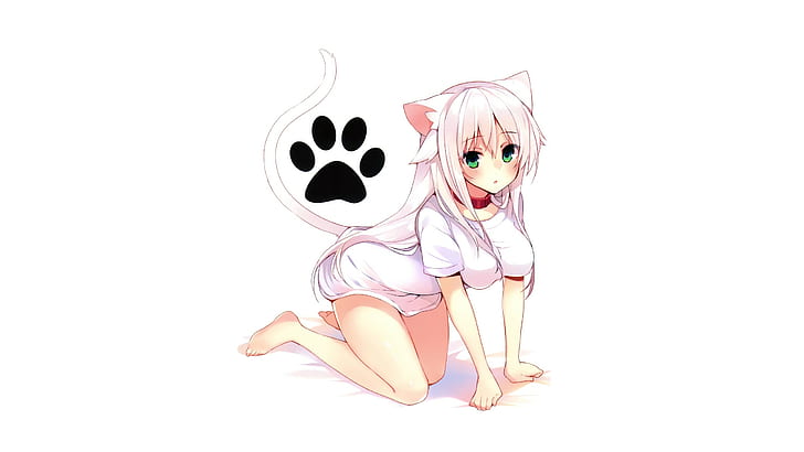 female anime character in white top wallpaper, anime girls, cat girl