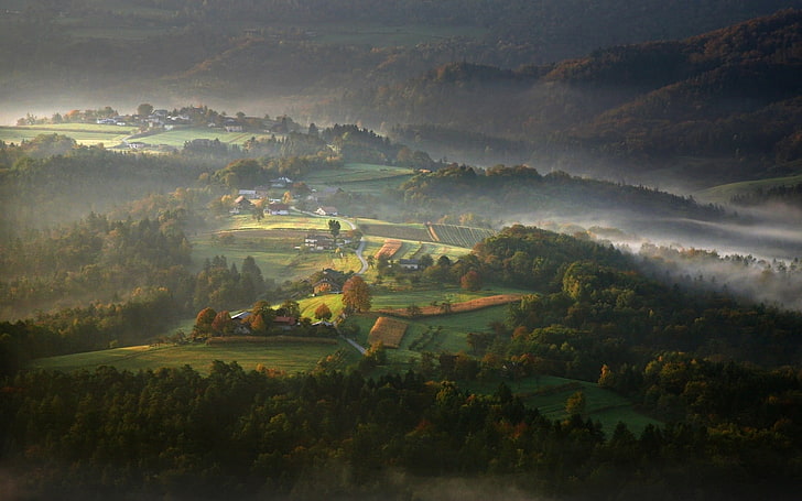 village surrounded by green leaf trees painting, nature, mist