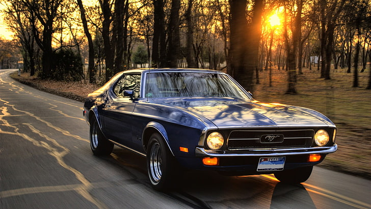 blue Ford Mustang coupe on road, car, sunset, trees, muscle cars