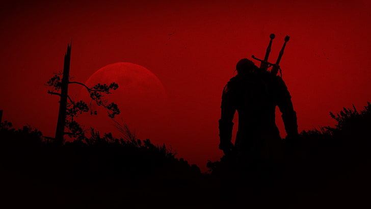 silhouette of warrior photo, The Witcher 3: Wild Hunt, mammal, HD wallpaper