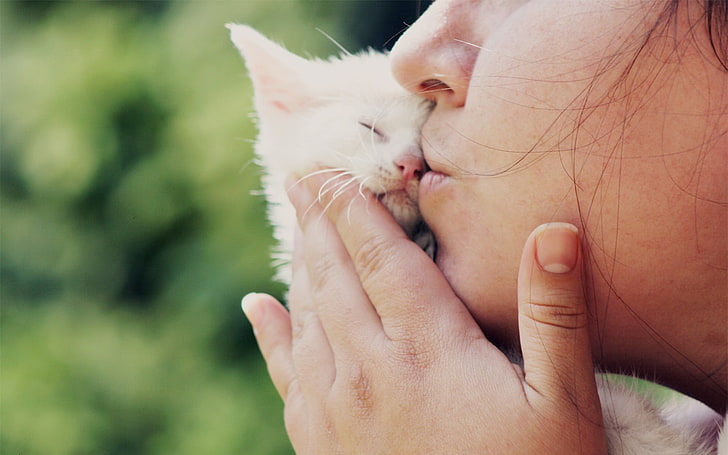 women, cat, kittens, kissing, animals, baby animals, human hand, HD wallpaper