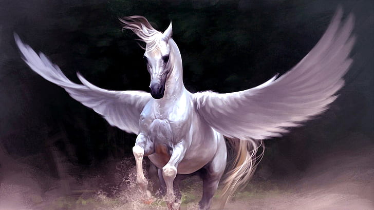 Wallpaper photo Wallpaper Nature Fantasy Animals winged horse mythical creature Pegasus 