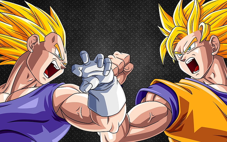 Dragon Ball Z Son Goku and Vegeta digital wallpaper, Super Saiyan