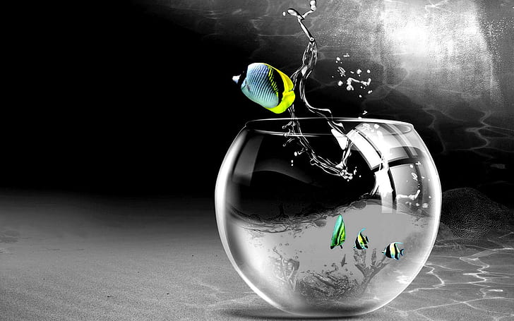 Cg Digital Art Bowl Aquarium Glass Drops Splash High Resolution Pictures, HD wallpaper