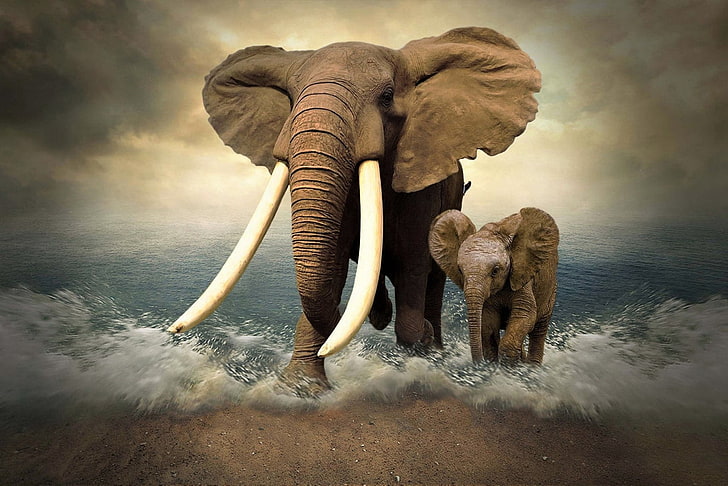 Download Adorable Kawaii Elephant Illustration Wallpaper  Wallpaperscom