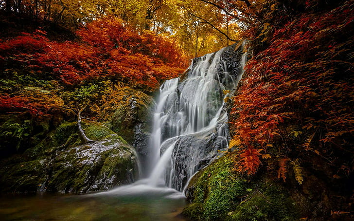 Forest water cascades, leaves, beautiful, waterfall, rocks, colors, HD wallpaper