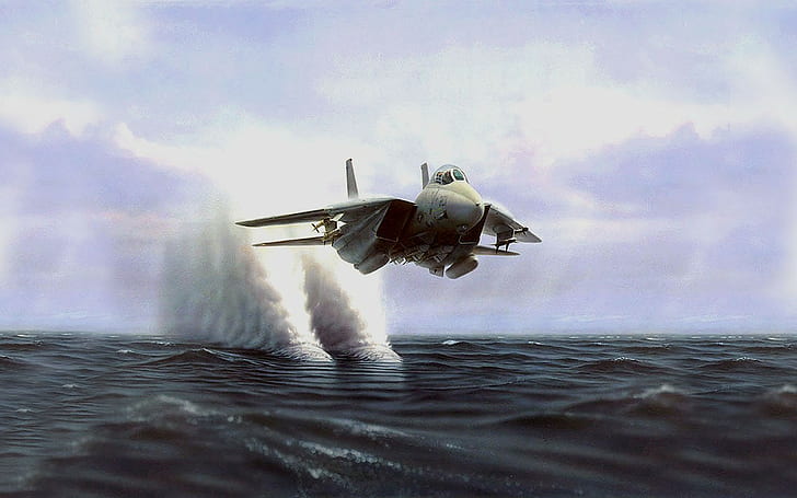 aircraft grumman f 14 tomcat, HD wallpaper