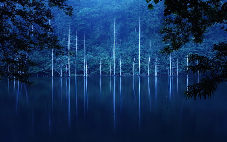 Forest, night, hillside, lake, trees, fog, body of water, HD wallpaper