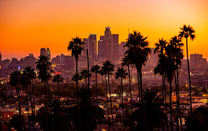 city, palm trees, sunset, building, skyscraper, Los Angeles, HD wallpaper