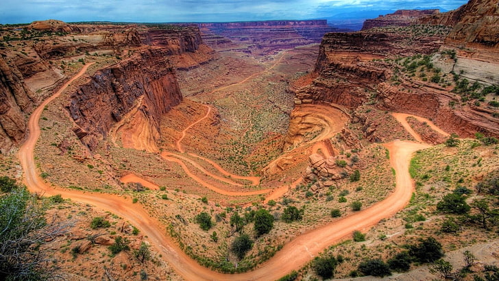 brown and green floral area rug, canyon, nature, Canyonlands National Park, HD wallpaper