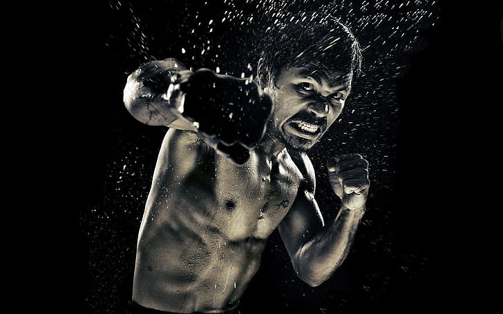 men, Manny Pacquiao, boxing, HD wallpaper