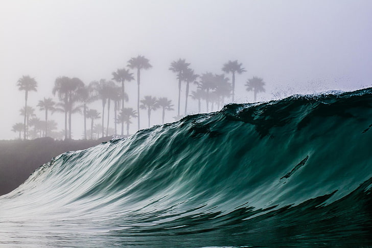 body of water, waves, trees, mist, motion, sky, beauty in nature