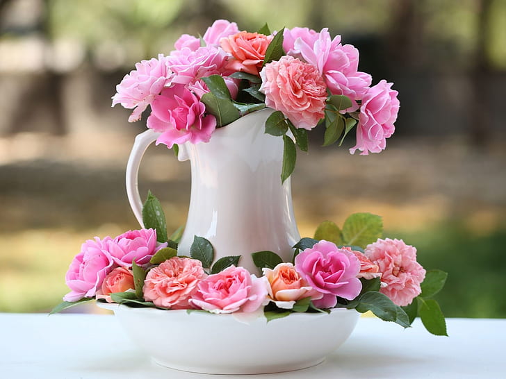 Vase, pink rose flowers, bokeh