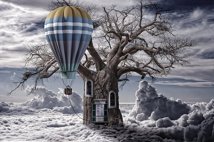 focus photography of air balloon tie on withered tree, clouds, HD wallpaper
