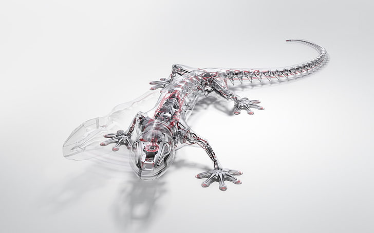 robots animals audi lizards gecko reptile 1680x1050  Cars Audi HD Art, HD wallpaper