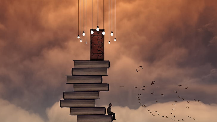 person on stair illustration, men, books, door, birds, clouds
