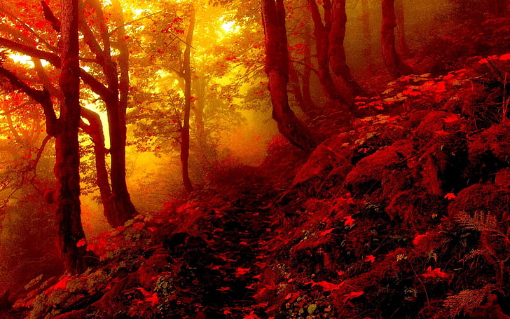 red pathway between plants and trees illustration, landscape photography of red mountain forest