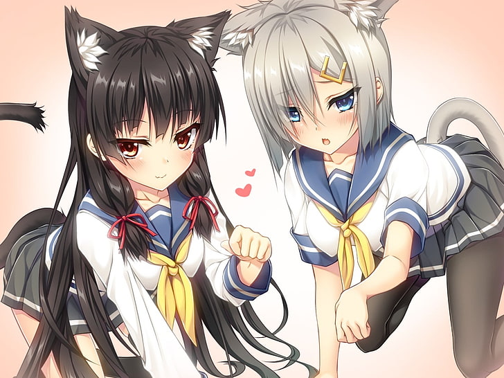 anime, nekomimi, school uniform, cat girl, Kantai Collection, HD wallpaper