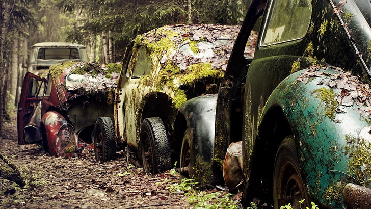 wrecked cars, vintage, Volkswagen Beetle, moss, fallen leaves