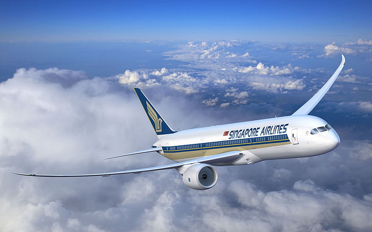 Singapore Airlines, Singapore Airlines airplane, Aircrafts / Planes
