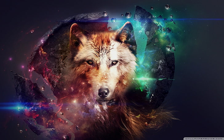 wolf, artwork, animals, digital art, mammal, one animal, pets, HD wallpaper
