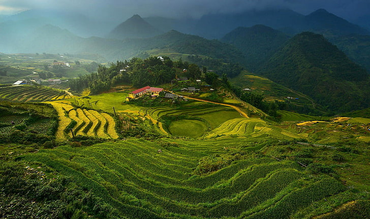 rice terraces, landscape, Vietnam, terraced field, agriculture, HD wallpaper