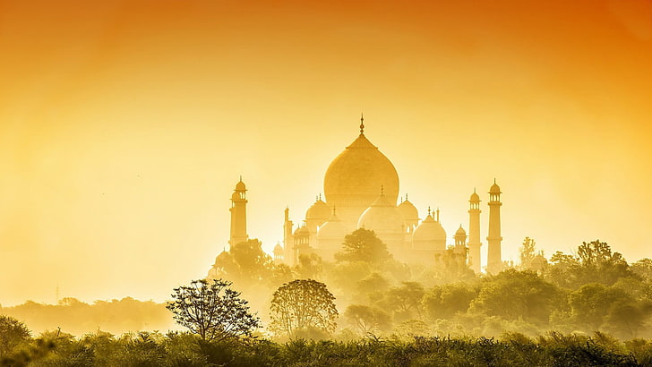 grey mosque, Taj Mahal, trees, plant, religion, architecture, HD wallpaper