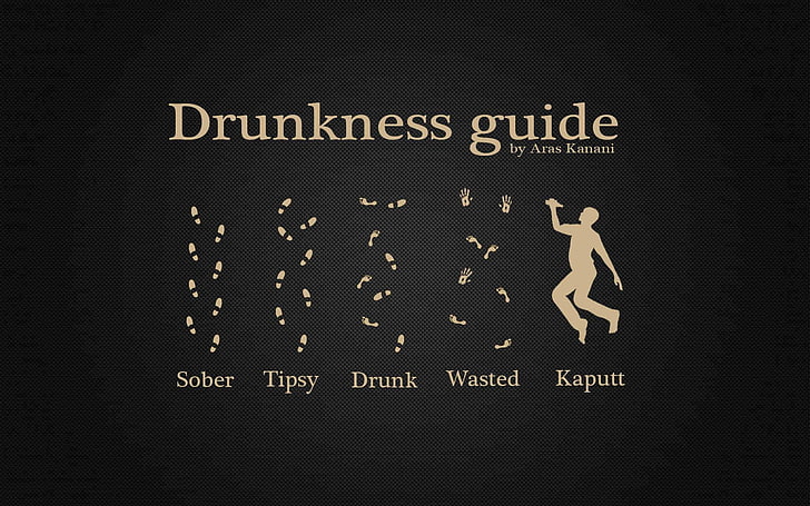 Drunkness Guide by Ares Kanami, humor, alcohol, artwork, vector, HD wallpaper