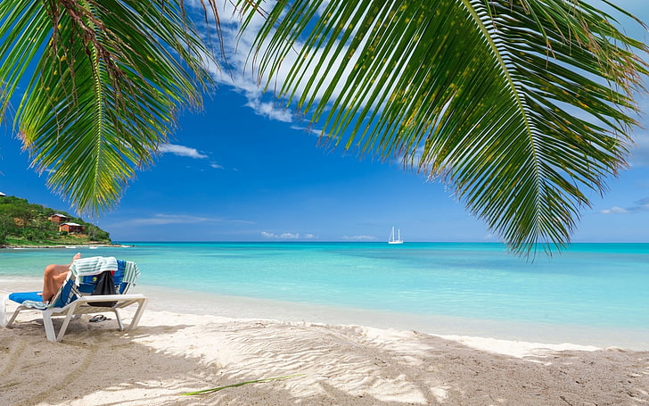 blue beach lounger, summer, tropical, sea, nature, landscape, HD wallpaper