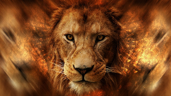 lion, animals, Africa, digital art, big cats, mammal, animal themes, HD wallpaper