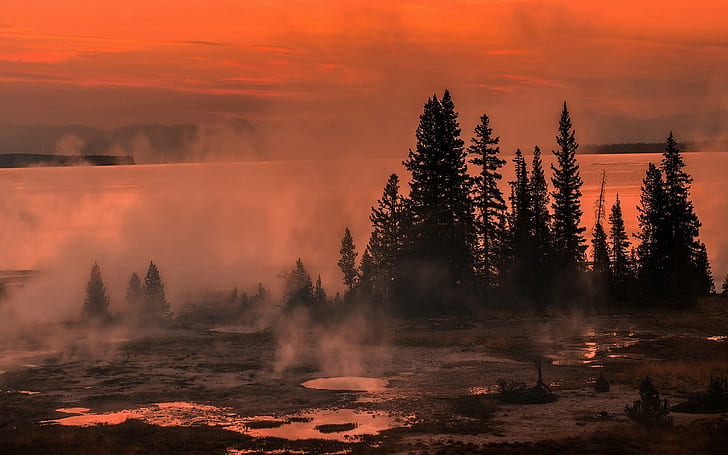 Lake, Sunrise, Mist, Nature, Yellowstone National Park, Trees, Puddles, Landscape