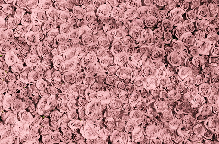Free Vector  Pink flower background vintage pattern in aesthetic design  vector