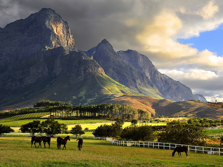 green mountain, Franschhoek, mountains, South Africa, farm, clouds, HD wallpaper