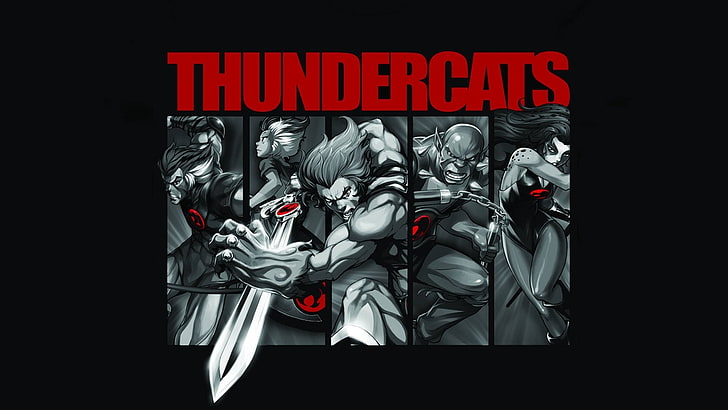 HD wallpaper: TV Show, Thundercats, Cheetara, Lion-O | Wallpaper Flare