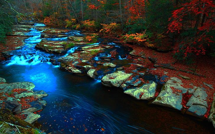 body of water painting, forest, stream, fall, rock, nature, landscape