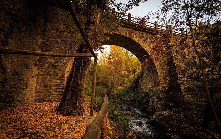 brown bricked bridge, brown bridge near tree during daytime, landscape, HD wallpaper